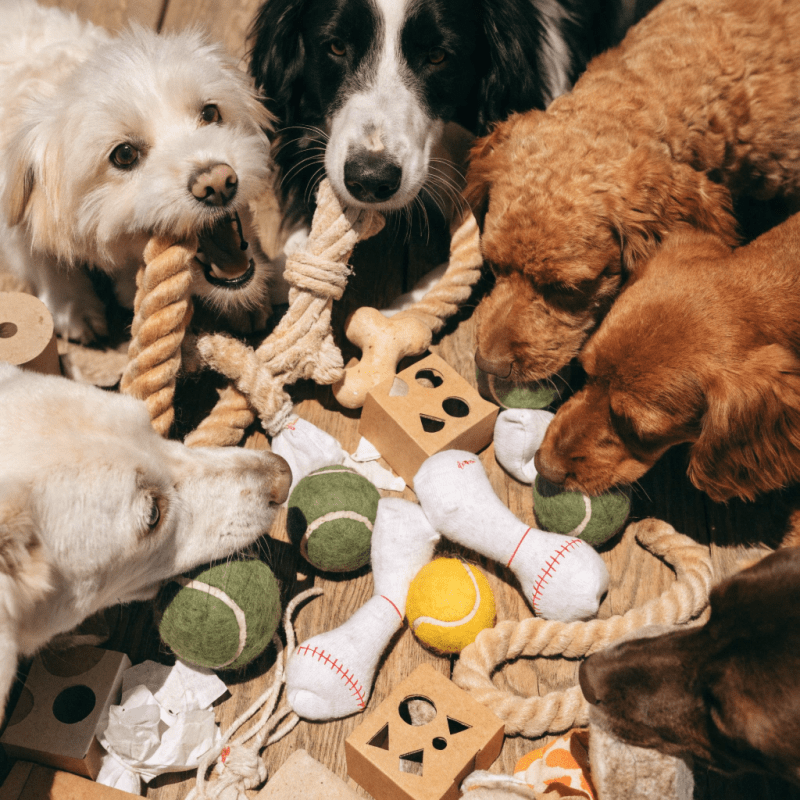 Homemade dog toys collection featuring rope toys, tennis balls, and fabric toys on wooden surface